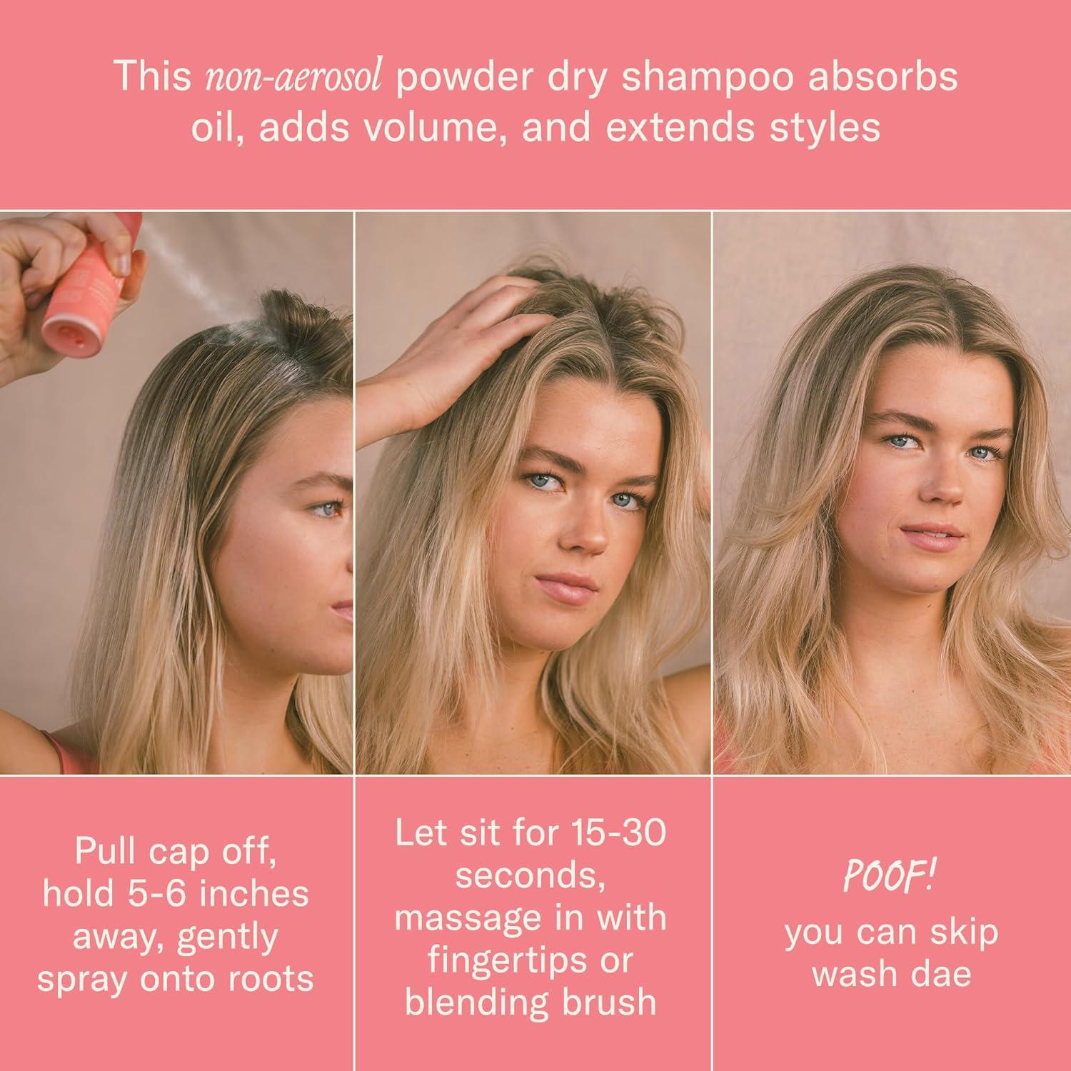 imageDAE Hair Fairy Duster Dry Shampoo ampamp Kabuki Blending Brush Duo