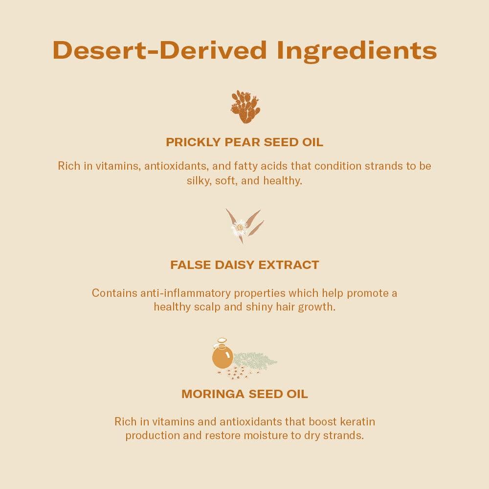 imageDAE Prickly Pear Hair Oil Stargloss Treatment ampamp Vegan Detangle  Style Brush
