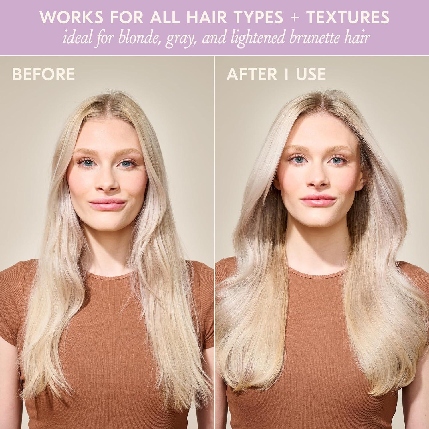 imageDAE Signature Shampoo  Cleanses ampamp Hydrates Dry Hair ampamp Scalp 10 ozPurple Shampoo