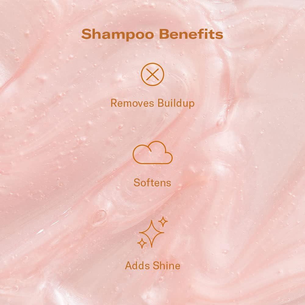 imageDAE Signature Shampoo  Cleanses ampamp Hydrates Dry Hair ampamp Scalp 10 ozShampoo  Conditioner