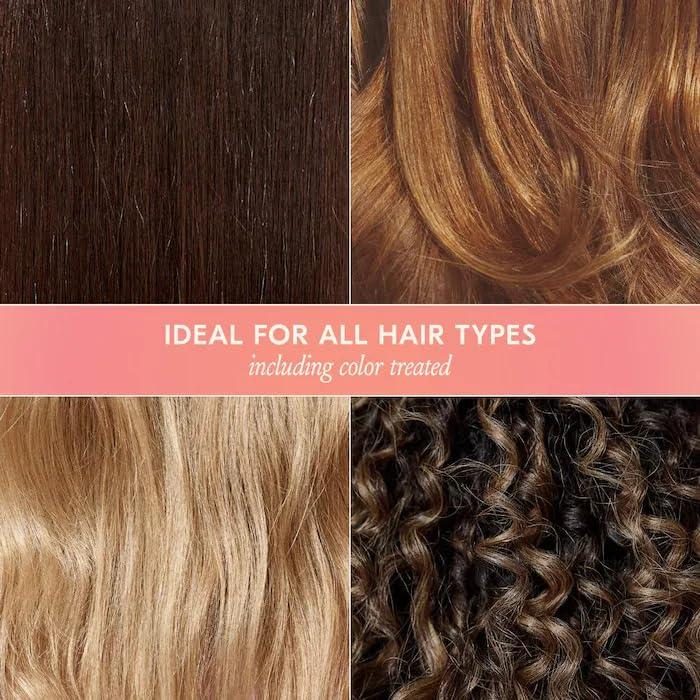 imageDAE Signature Shampoo  Cleanses ampamp Hydrates Dry Hair ampamp Scalp 10 ozShampoo  Conditioner Travel