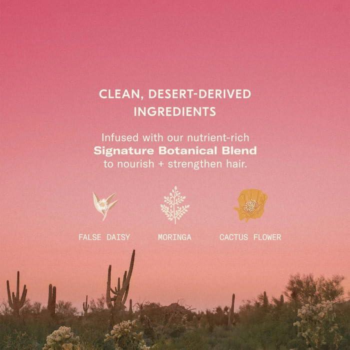 imageDAE Signature Shampoo  Cleanses ampamp Hydrates Dry Hair ampamp Scalp 10 ozShampoo  Conditioner Travel