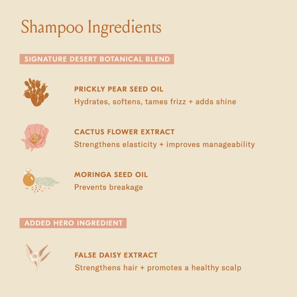 imageDAE Signature Shampoo  Cleanses ampamp Hydrates Dry Hair ampamp Scalp 10 ozSignature Shampoo