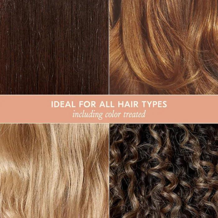 imageDAE Signature Shampoo  Cleanses ampamp Hydrates Dry Hair ampamp Scalp 10 ozSignature Shampoo Jumbo