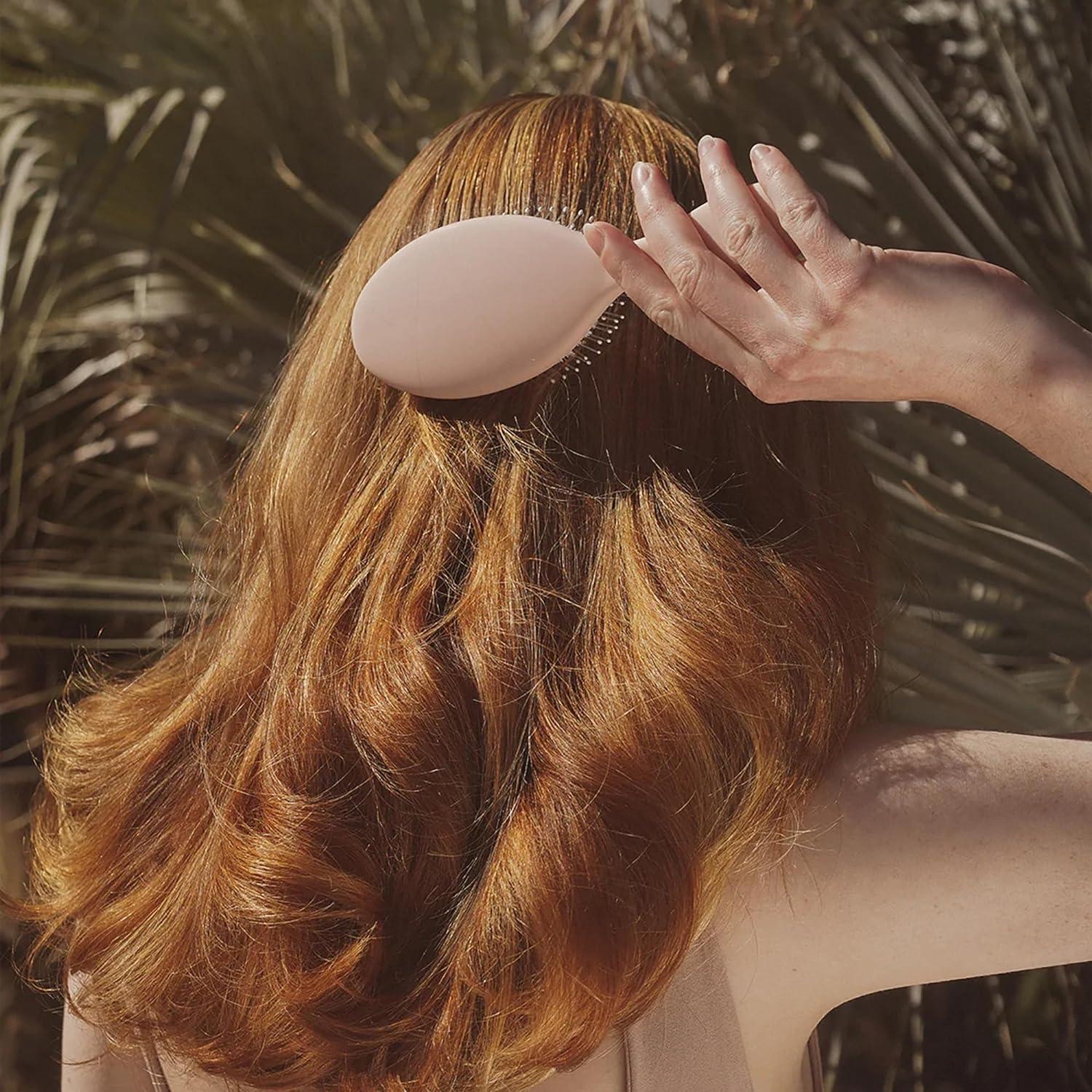 imagedae Signature Duo ampamp Brush Set Shampooo  Conditioner  Brush