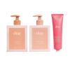 imageDAE Bestsellers Trio Signature Shampoo Signature Conditioner ampamp 31 Styling Cream